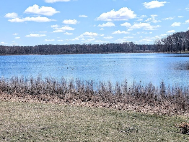 view of water feature with a forest view
