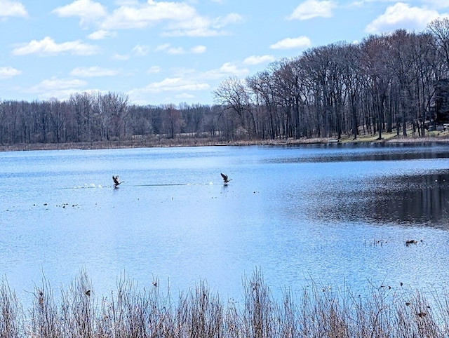 water view with a forest view