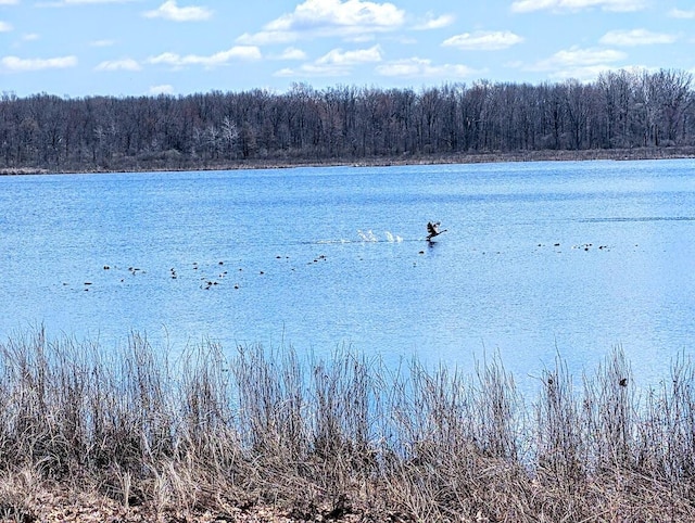 property view of water featuring a wooded view