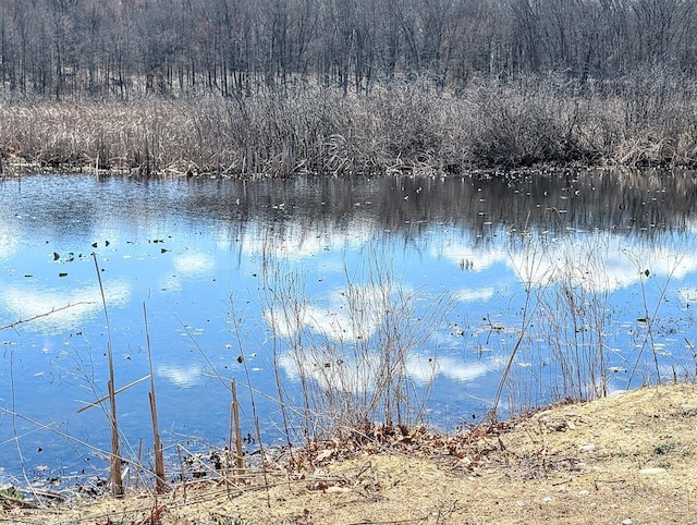 view of water feature