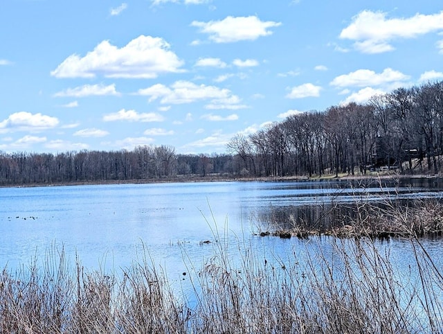 water view with a forest view