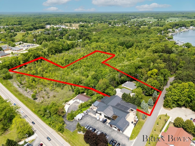 6817 Martin View St NE, Rockford, MI 49341 - aerial view of property's location with a heavily wooded area, property boundaries highlighted, and a large body of water