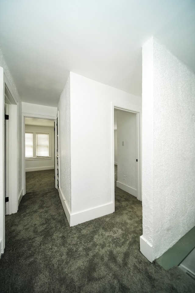 16240 Washburn St, Detroit, MI 48221 - photo 36
