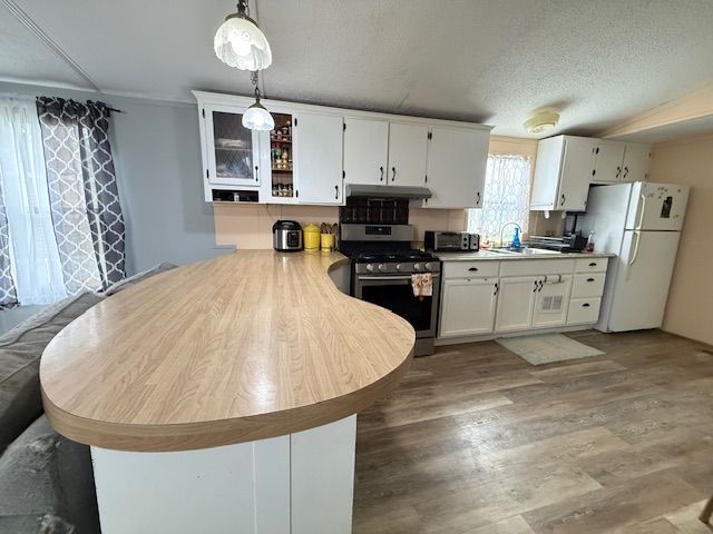 7006 Brides Bay Ct, Ira, MI 48023 - kitchen with stainless steel gas stove, freestanding refrigerator, a peninsula, white cabinetry, and under cabinet range hood