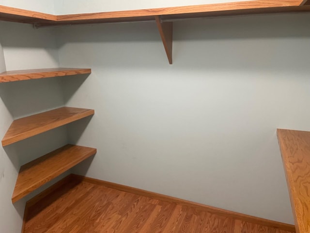 spacious closet featuring wood finished floors