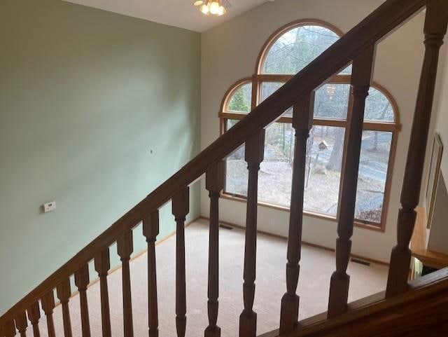 interior space with carpet floors and visible vents