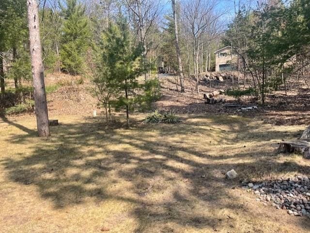 view of local wilderness