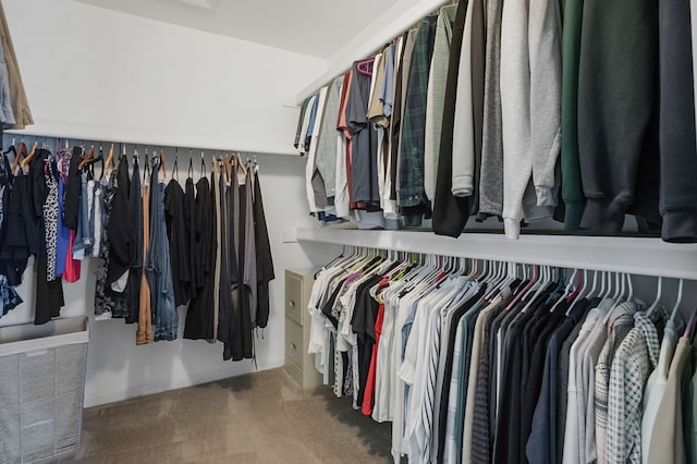 walk in closet featuring carpet floors
