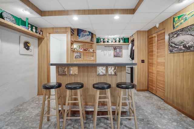bar featuring wood walls, a dry bar, and a paneled ceiling