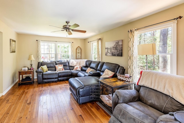 living room featuring hardwood / wood-style floors, a ceiling fan, and baseboards