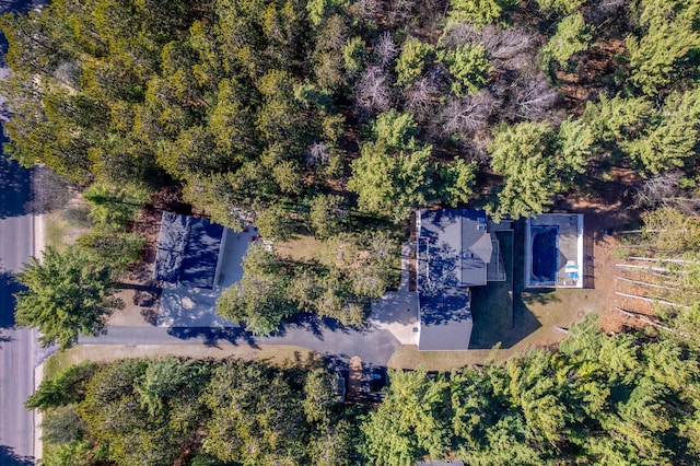 drone / aerial view