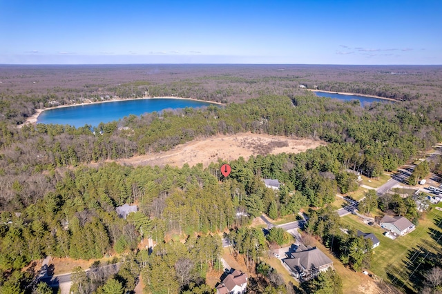 drone / aerial view with a view of trees and a water view