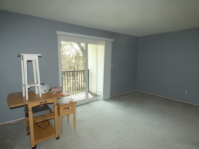 interior space with baseboards and carpet floors