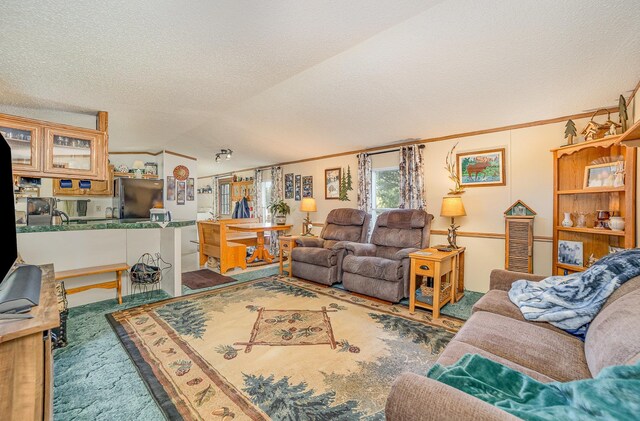 10269 30th Ave, Evart, MI 49631 - living room with ornamental molding, a textured ceiling, and carpet