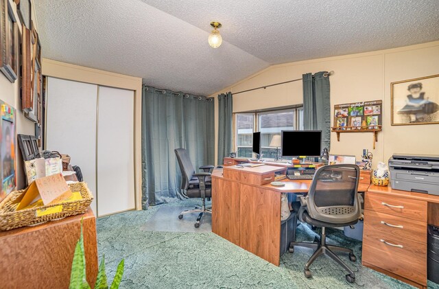 10269 30th Ave, Evart, MI 49631 - carpeted office featuring vaulted ceiling and a textured ceiling
