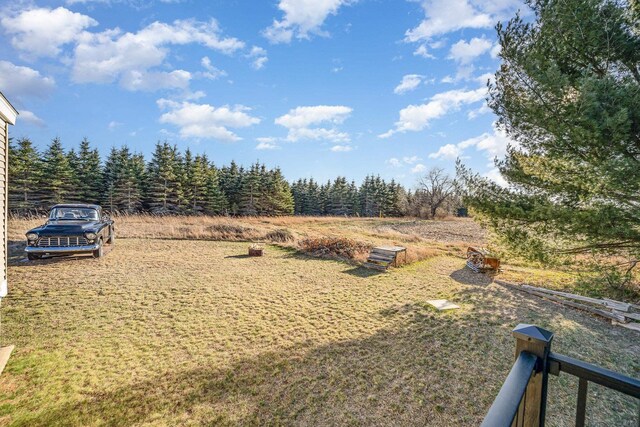 10269 30th Ave, Evart, MI 49631 - view of yard