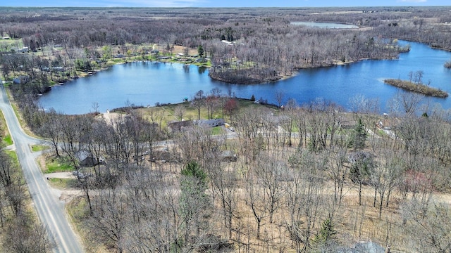 aerial view with a view of trees and a water view