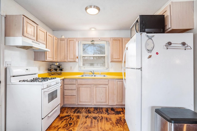 kitchen with light brown cabinets, a sink, under cabinet range hood, white appliances, and dark wood-style flooring