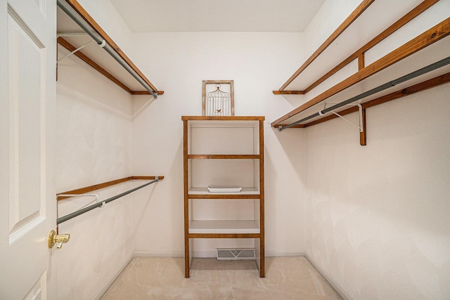 spacious closet featuring carpet