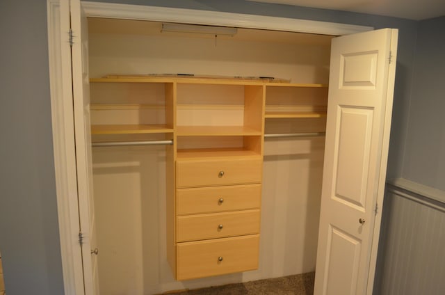 3629 Frederick Dr, Ann Arbor, MI 48105 - view of closet