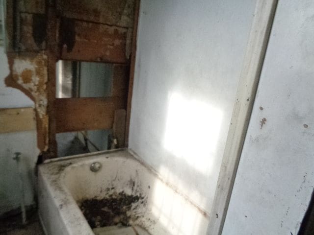 full bath with a washtub