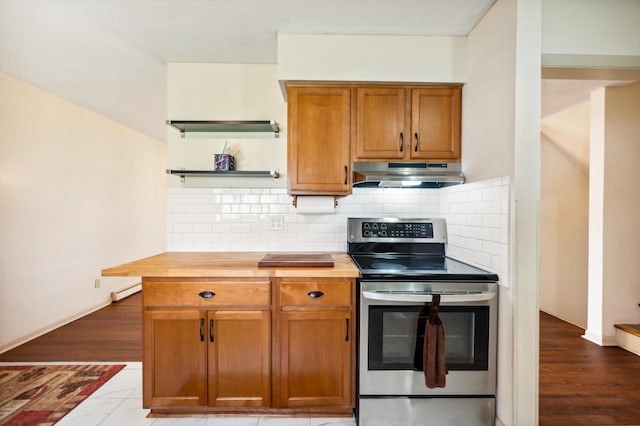 1843 N Sierra Way, Stevensville, MI 49127 - kitchen featuring under cabinet range hood, open shelves, backsplash, wood counters, and electric range