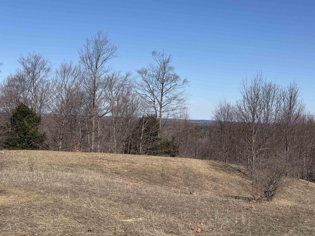 Horton Creek Dr, Grawn, MI 49637