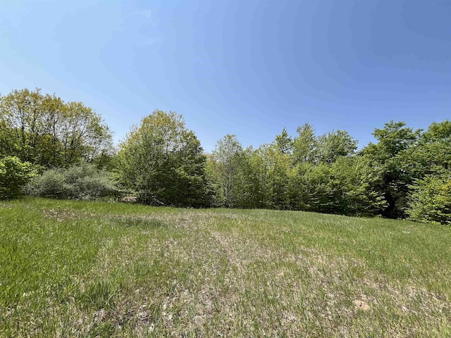 Horton Creek Dr, Grawn, MI 49637