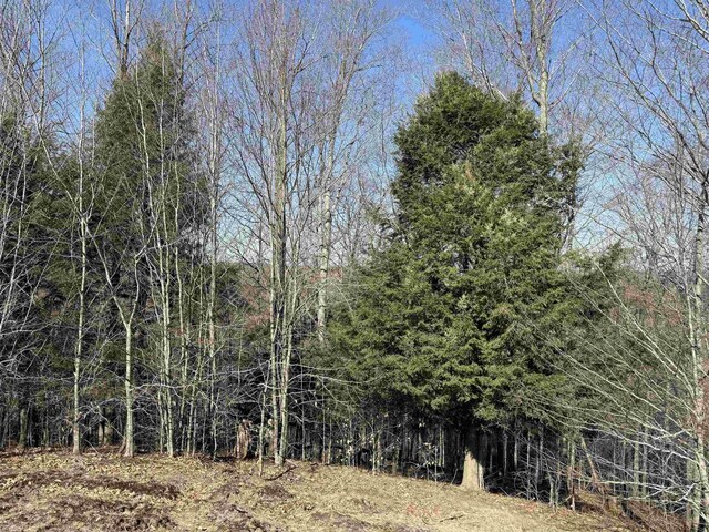 Horton Creek Dr, Grawn, MI 49637