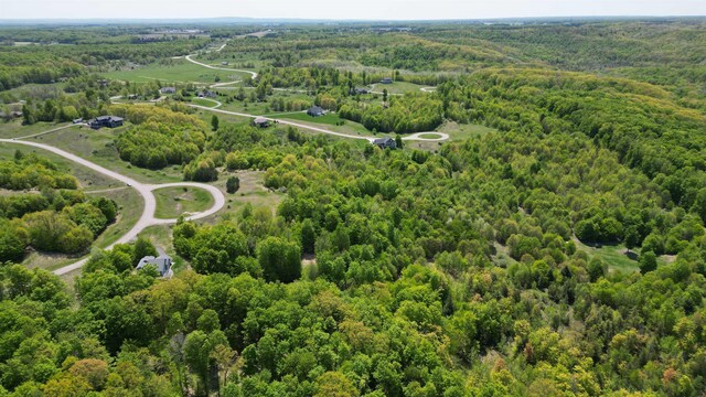 Horton Creek Dr, Grawn, MI 49637