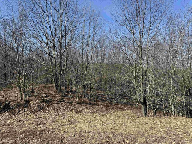 Horton Creek Dr, Grawn, MI 49637