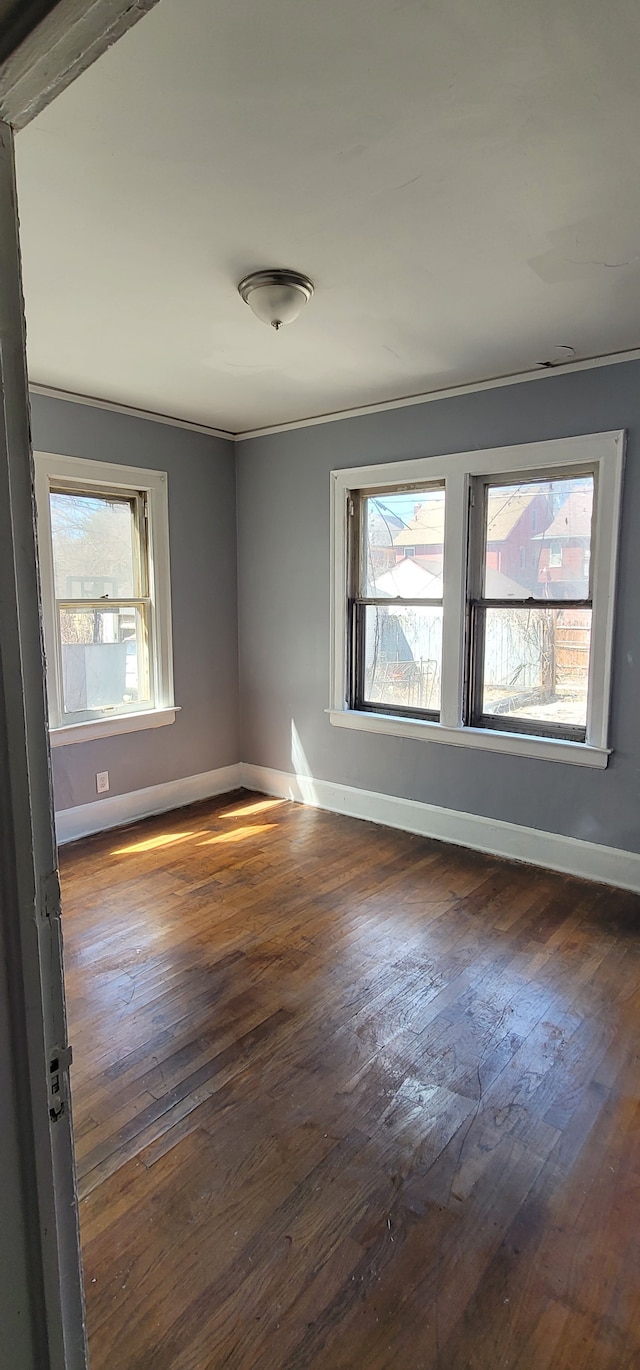spare room featuring hardwood / wood-style floors, baseboards, and ornamental molding