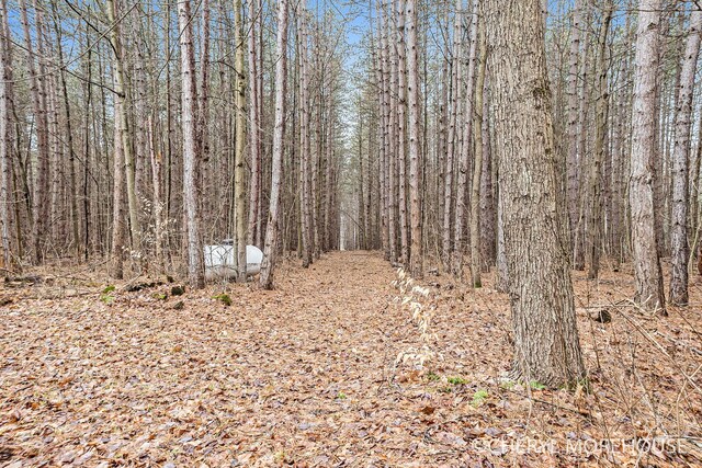 3390 E Baseline Rd, White Cloud, MI 49349 - view of landscape with a view of trees