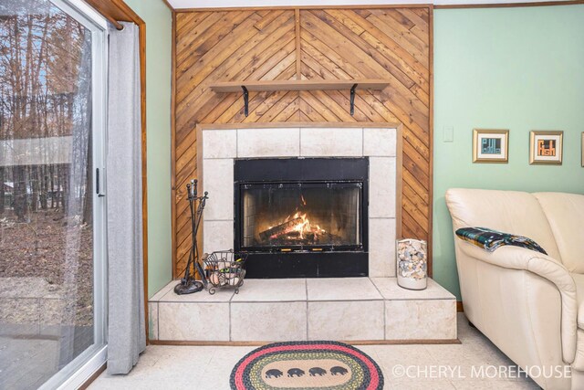 3390 E Baseline Rd, White Cloud, MI 49349 - details featuring a tile fireplace