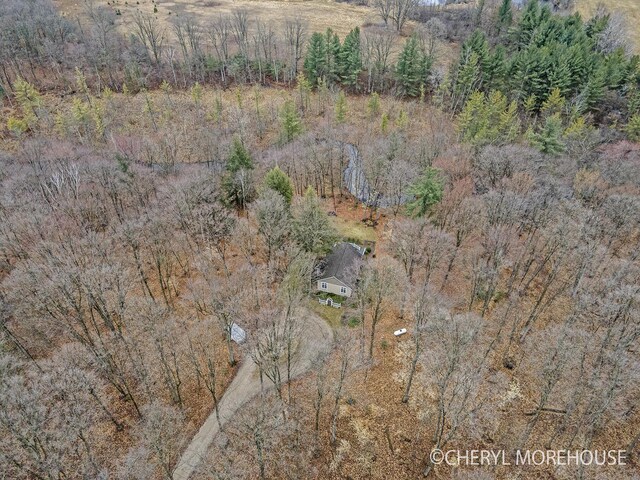 3390 E Baseline Rd, White Cloud, MI 49349 - drone / aerial view