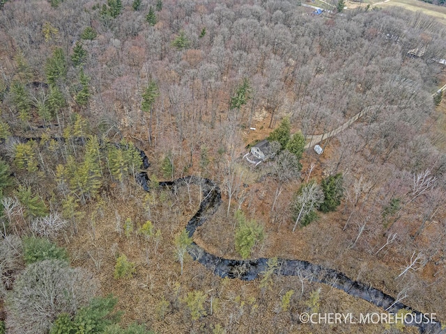 3390 E Baseline Rd, White Cloud, MI 49349 - drone / aerial view