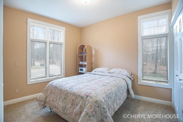 3390 E Baseline Rd, White Cloud, MI 49349 - bedroom featuring carpet flooring, baseboards, and multiple windows