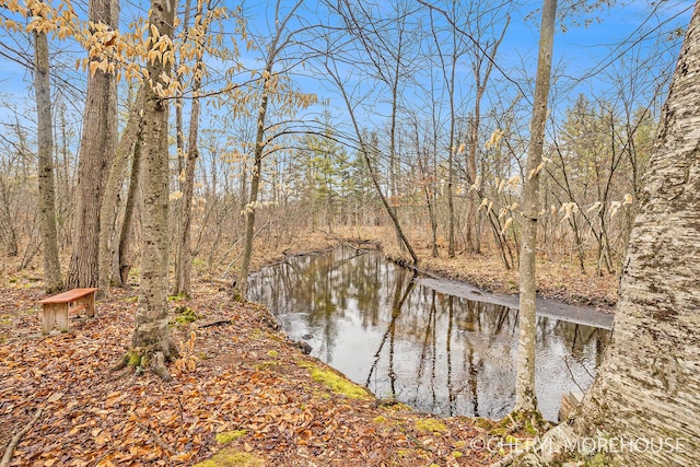 3390 E Baseline Rd, White Cloud, MI 49349 - view of water feature