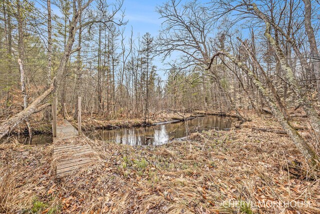 3390 E Baseline Rd, White Cloud, MI 49349 - view of water feature