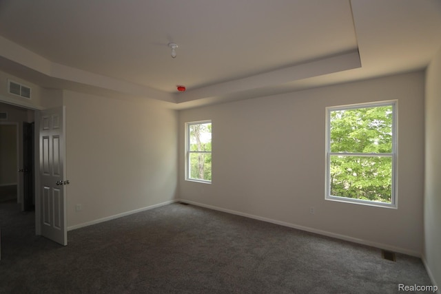 14331 Old Oak Trl, Van Buren, MI 48111 - carpeted empty room with baseboards and a raised ceiling