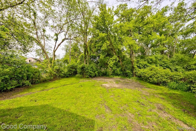 22111 Condon St, Oak Park, MI 48237 - photo 33