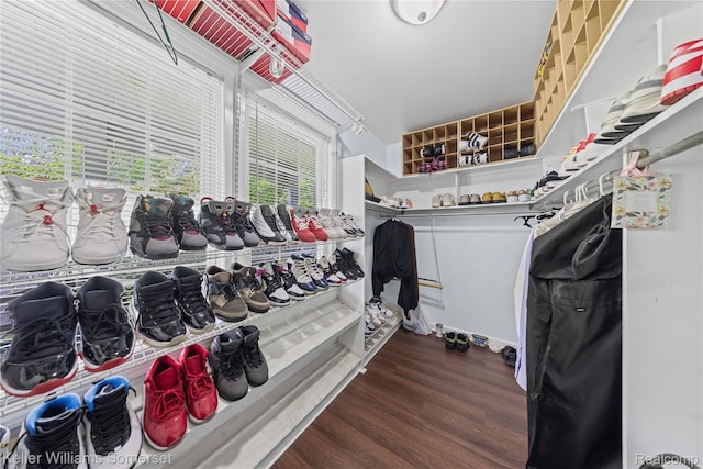 21700 W 13 Mile Rd, Beverly Hills, MI 48025 - walk in closet with wood finished floors