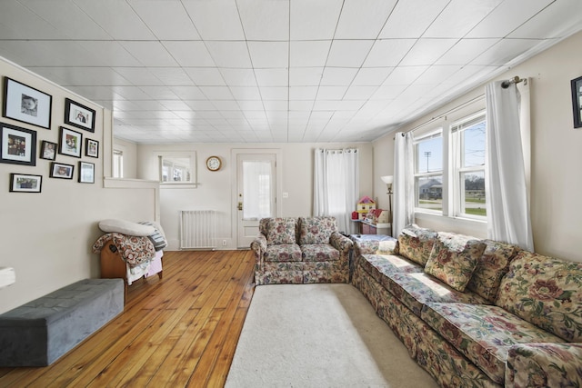 124 Broad St, Brooklyn, MI 49230 - living area featuring wood-type flooring and radiator