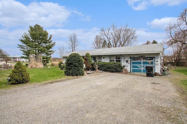 ranch-style house featuring driveway and a front yard