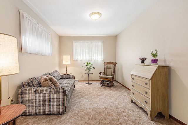 living area with carpet floors and baseboards