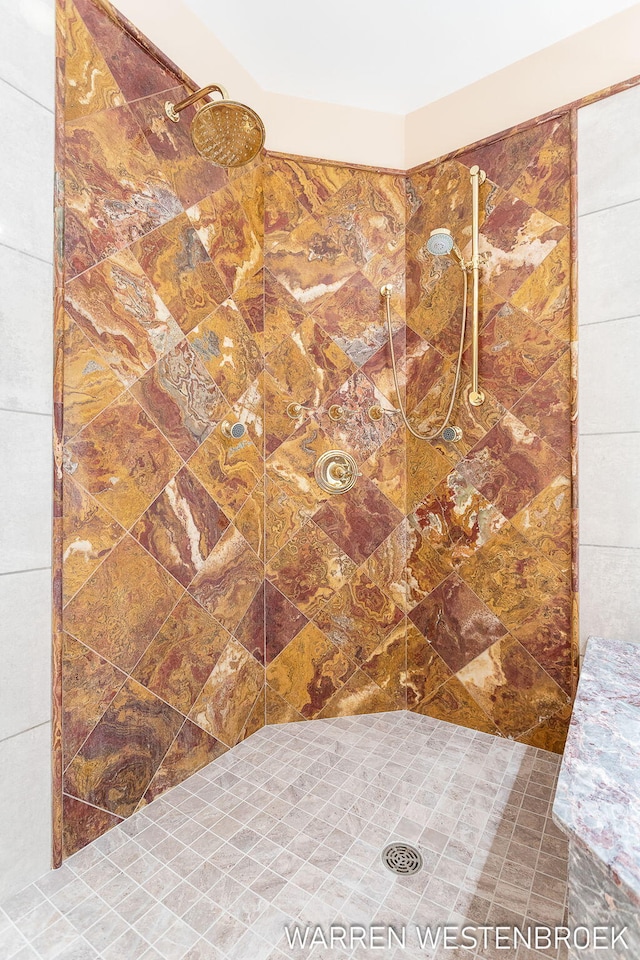 3550 64th Ave, Zeeland, MI 49464 - bathroom featuring a tile shower