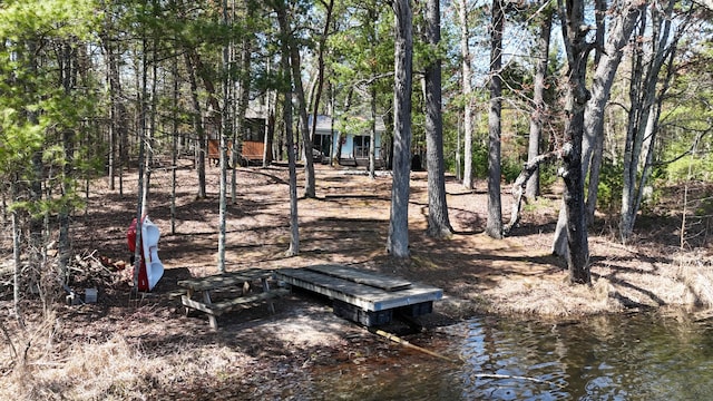 view of yard with a water view and a boat dock
