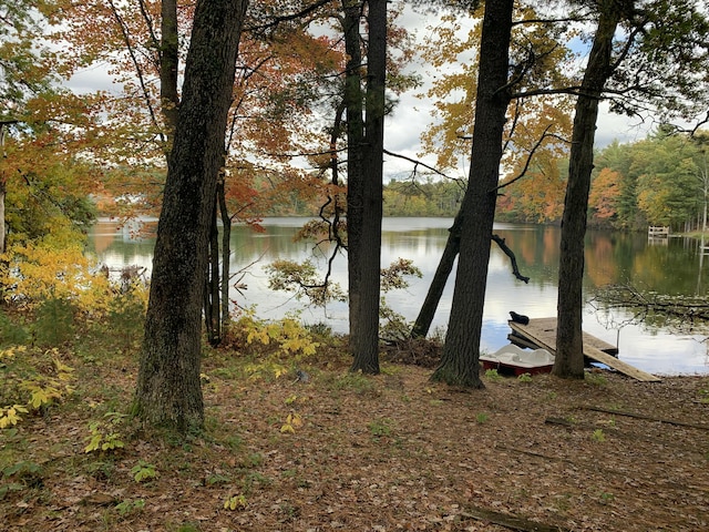 property view of water