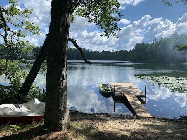 dock area with a wooded view and a water view