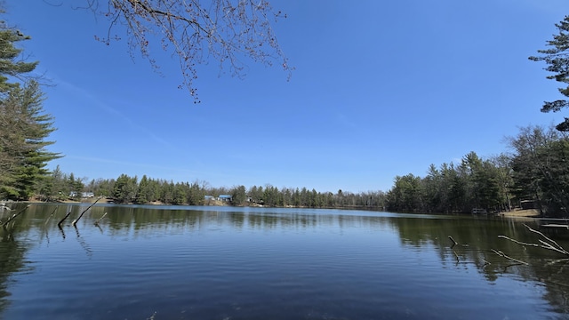 water view featuring a view of trees
